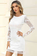 Round Neck Long Sleeve Lace Dress -BazaarBey - www.shopbazaarbey.com