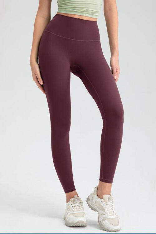 Wide Waistband High Waist Sport Leggings Bazaarbey